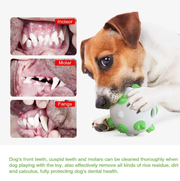 Spherical Dog Toy Molar Stick Bite Resistant Toothbrush