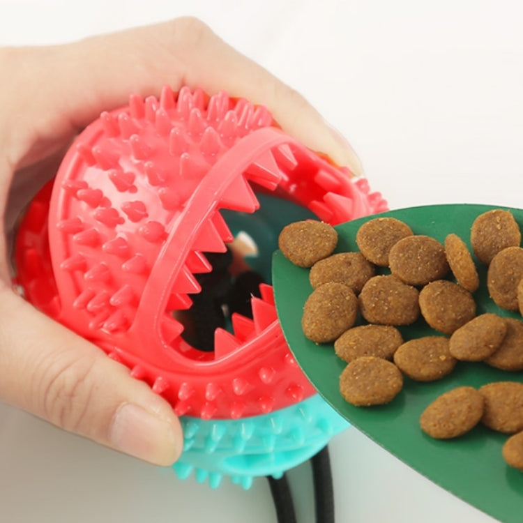 Pet Bite-Resistant Teething Toy Dog Rope Training Ball