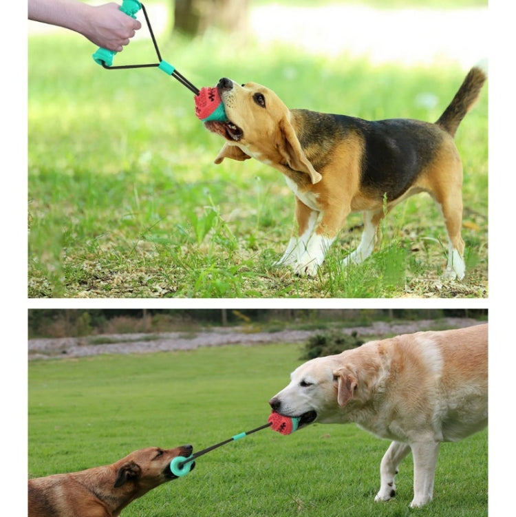 Pet Bite-Resistant Teething Toy Dog Rope Training Ball