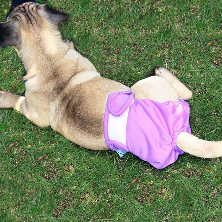 Pet Physiological Pants Pet Waterproof Panties, Size: XL