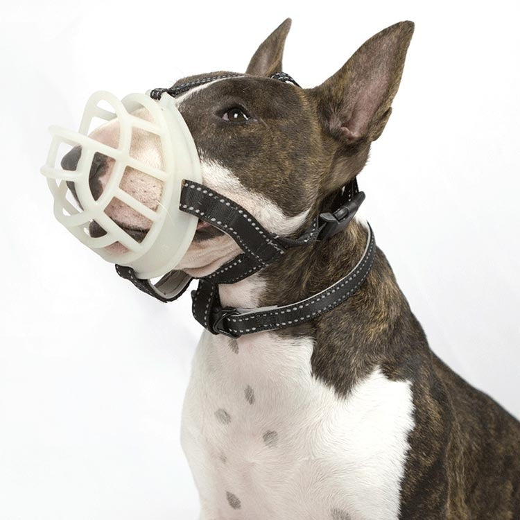 Fluorescent Dog Mouth Cover Pet Masks Anti-Bite And Bark Stopper Pet Supplies, Specification: Number 1