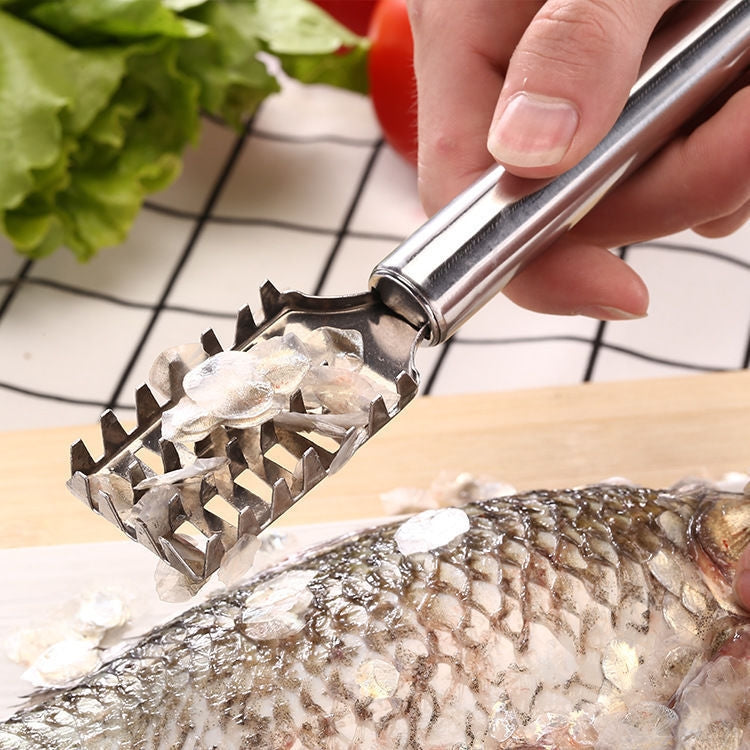 10 PCS Stainless Steel Fish Scale Planer Kitchen Supplies Fish Scale Brush Fish Scraper
