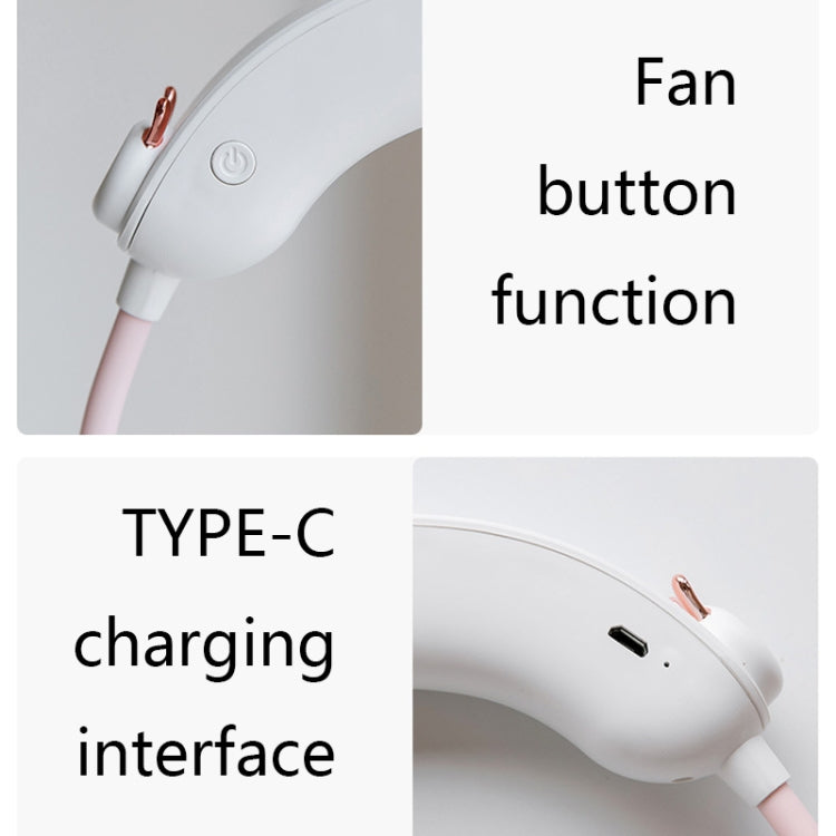 WT-F27 Neck-mounted Double-head Humidifying Fan USB Portable Moisturizing Spray Sports Silent Fan(Black)