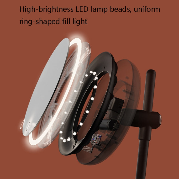 Lifting Makeup Mirror Desktop LED Light Desktop Portable Beauty Mirror