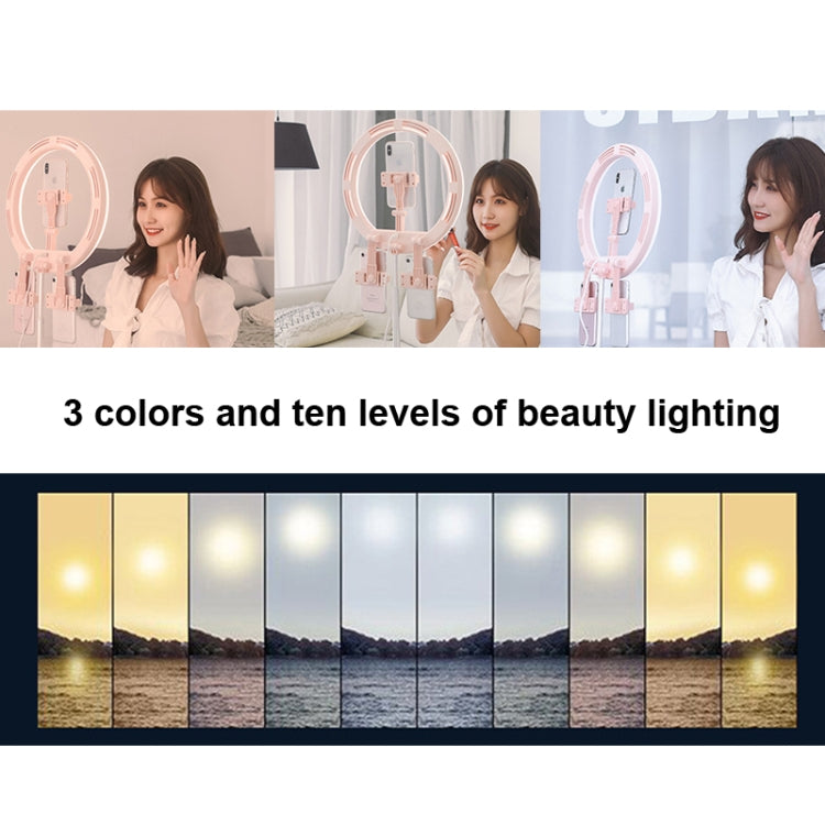 JM03 11 Inch 3 Position Fill Light Beauty Selfie Desktop Bracket Live Broadcast Integrated Floor LED Light