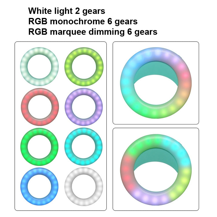 2 PCS L-06  40 LEDs RGB Mobile Phone Fill Light Rechargeable Colorful Ring Light  Mobile Phone Live Selfie Beauty Ligh(Pink)
