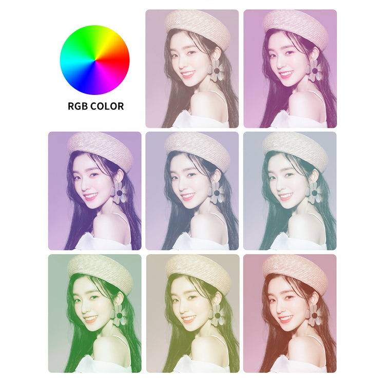 2 PCS L-06  40 LEDs RGB Mobile Phone Fill Light Rechargeable Colorful Ring Light  Mobile Phone Live Selfie Beauty Ligh(Pink)