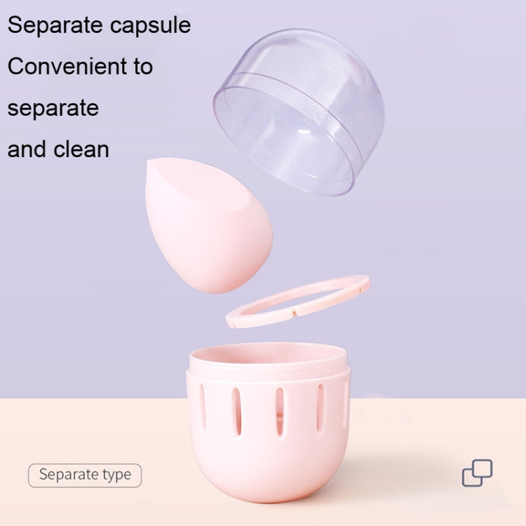 2 PCS Transparent Dust-Proof Cosmetic Egg Storage Box With Lid Portable Breathable And Mildew-Proof Puff Storage Box(Pink)