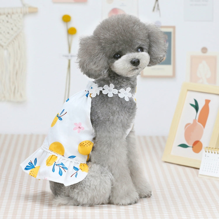 Pet Clothing Dog Cat Dress Bayberry Skirt, Size: L