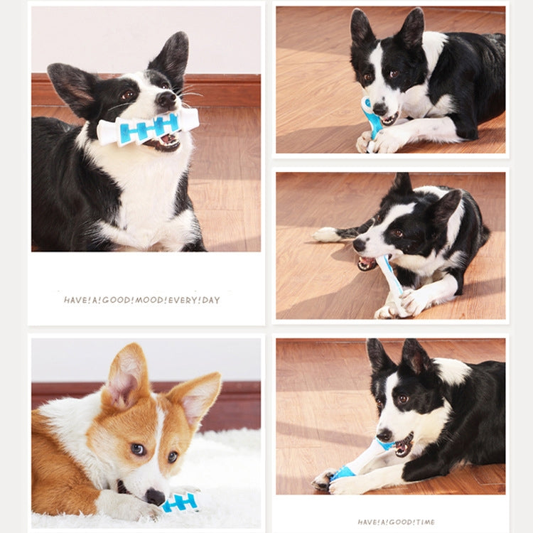 Nylon TPU Two-Color Bite Stick Puppy Toy Bone Teddy Golden Retriever Molar Toys, Specification: Medium Spine