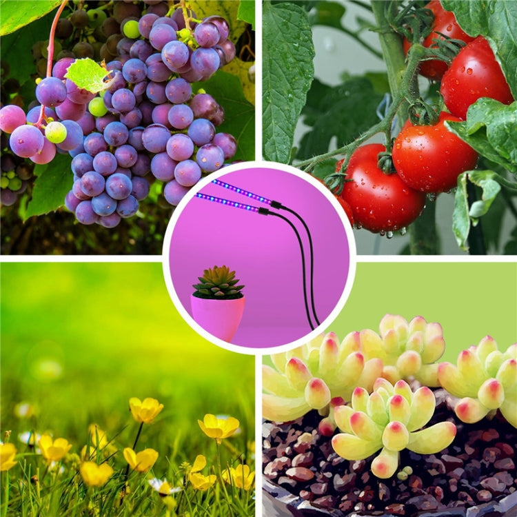 6W  LED Plant Light Single Tube Clip Succulent Plant Growth Light Without Power Adapter