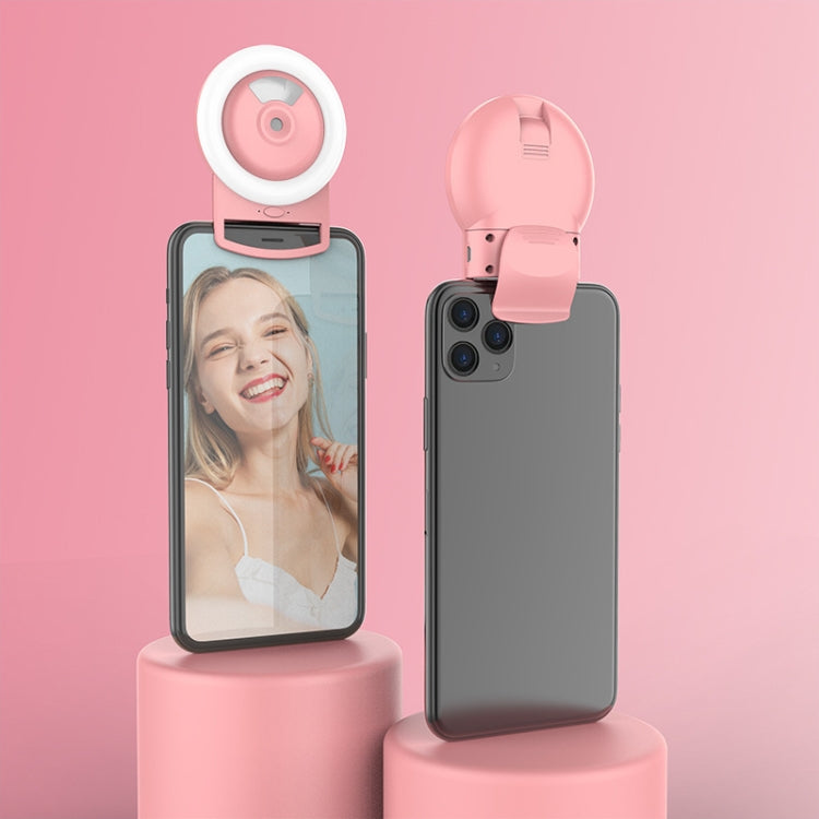 Live Mobile Phone Fill Light Comes With Humidifying Spray And Moisturizing LED Beauty Light