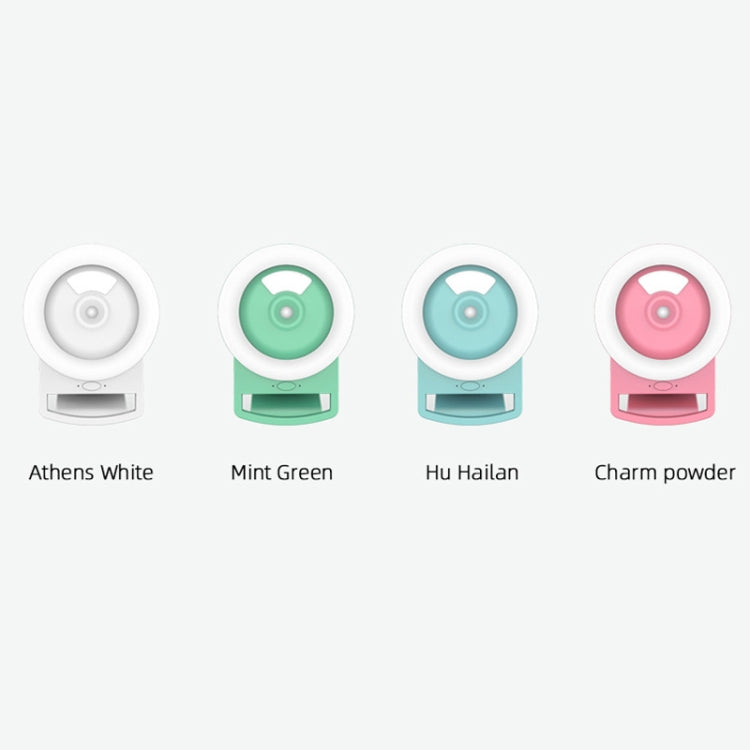 Live Mobile Phone Fill Light Comes With Humidifying Spray And Moisturizing LED Beauty Light