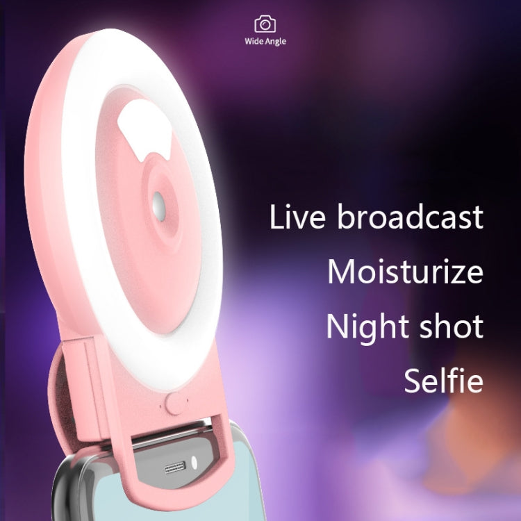 Live Mobile Phone Fill Light Comes With Humidifying Spray And Moisturizing LED Beauty Light