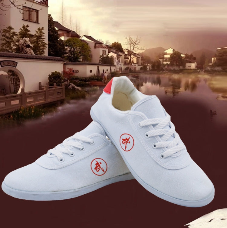Tai Chi Martial Arts Taekwondo Performance Shoes Tendon Sole Sneakers, Size: 39/245