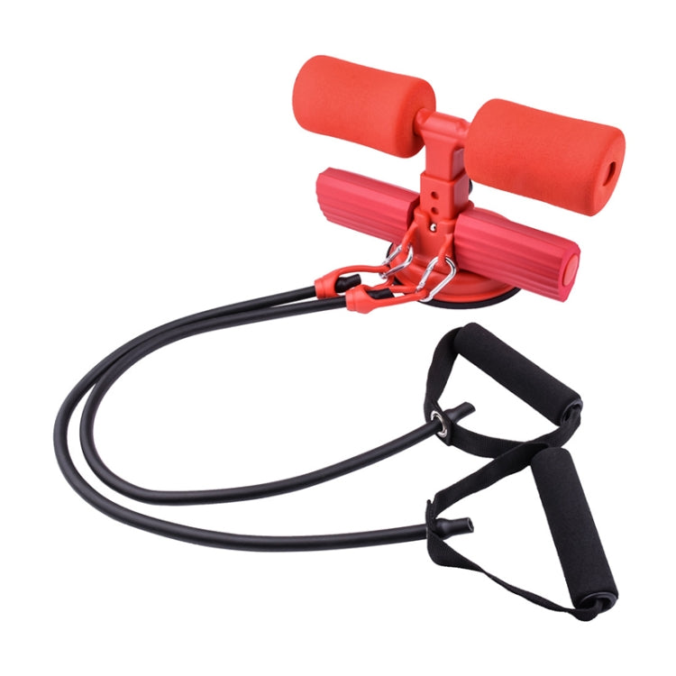 2 in 1 Home Fitness Equipment Suction Cup Fixed Sit-up Aid with Rally