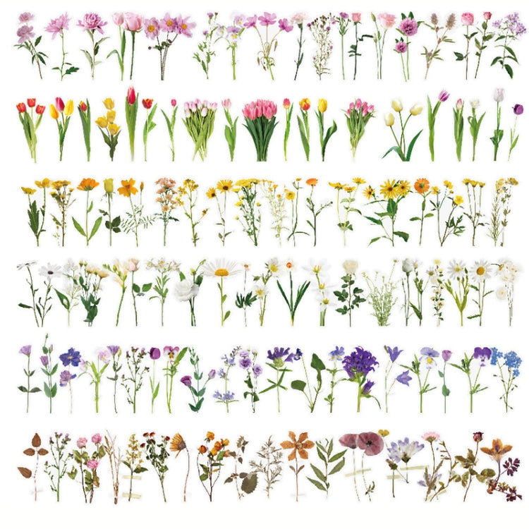 5 Sets Fresh Hand Account Diary DIY Sticker Color Random Delivery