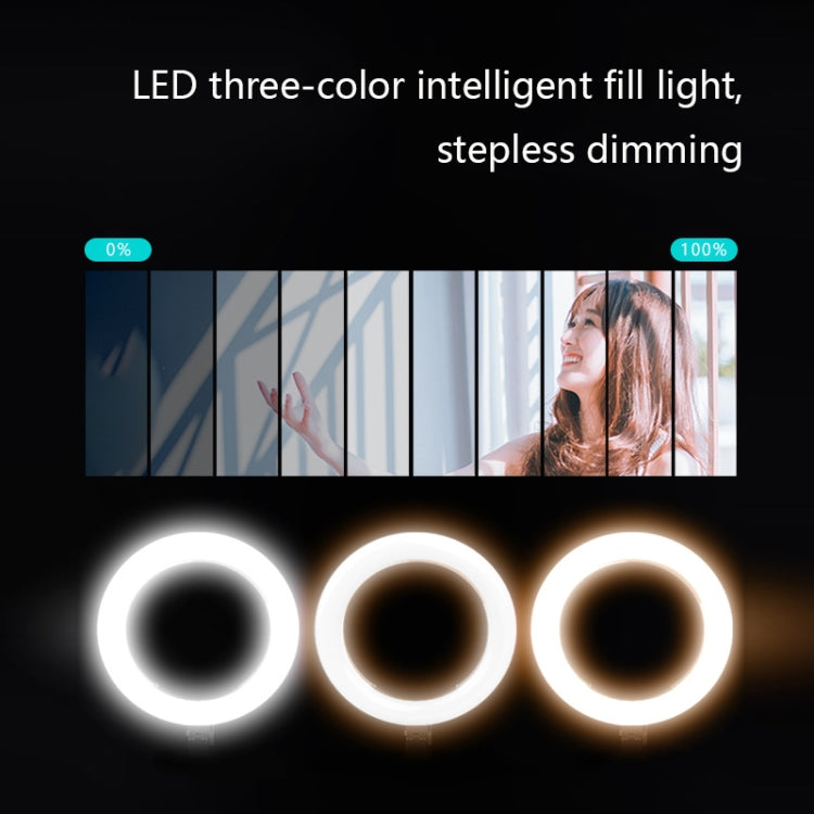 FP-10 Desktop Multi-Function Photography Support Phone Live Stand LED Fill Light, Specification: Desktop Bracket + Clip + Ring Lamp