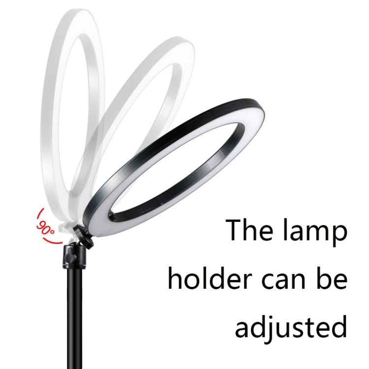LX-03 Phone Selfie Beauty Live Support LED Fill Light Desktop Multi-Camera Photo Photography Support, Specification: Four-bit +16CM Fill Light