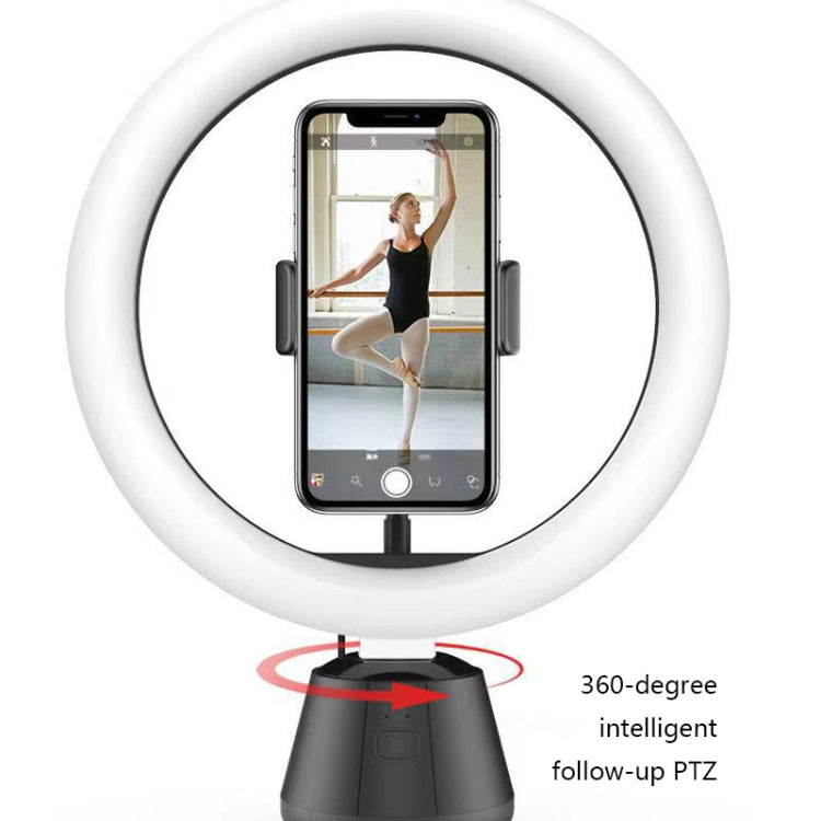 Q3 Smart Follow-Up PTZ Supports Face Recognition Video And Live Broadcast Fill Light, Colour: Battery Type