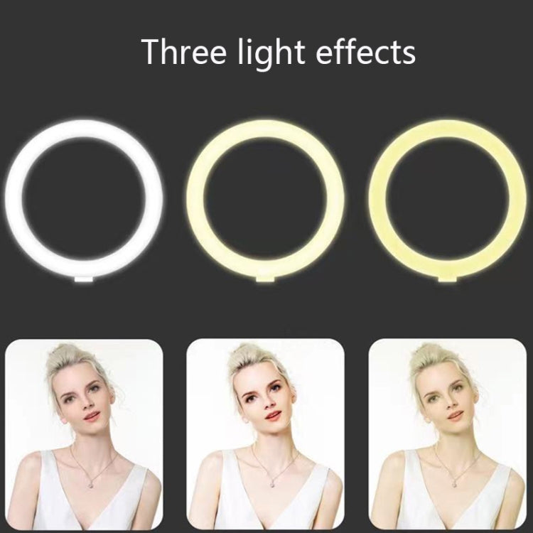 Q3 Smart Follow-Up PTZ Supports Face Recognition Video And Live Broadcast Fill Light, Colour: Battery Type