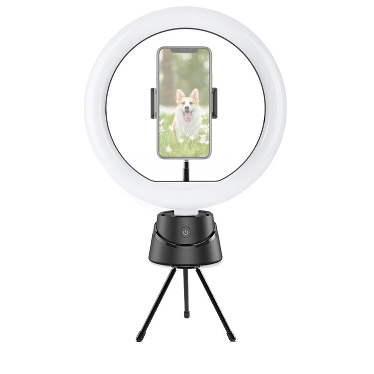 B-40 360-Degree Intelligent Follow-Up PTZ Fill Light Beautification Live Broadcast Bracket(Fill Light + PTZ + Tripod)