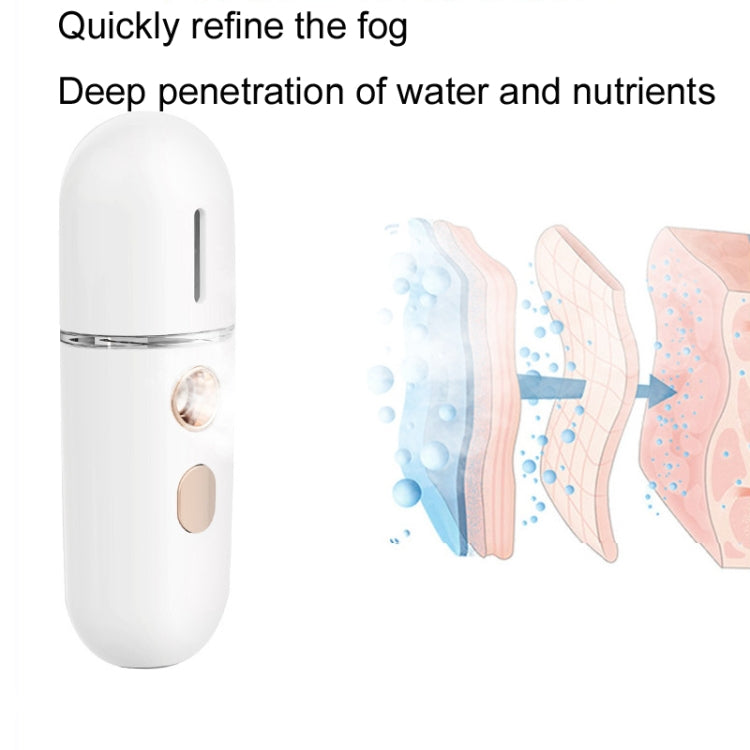 2 PCS Portable Rechargeable Water Replenishing Device Beauty Humidifying Sprayer, Colour: No.3 White
