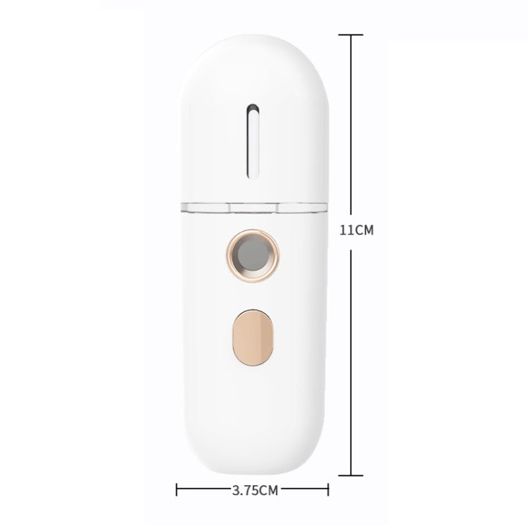 2 PCS Portable Rechargeable Water Replenishing Device Beauty Humidifying Sprayer, Colour: No. 4 White