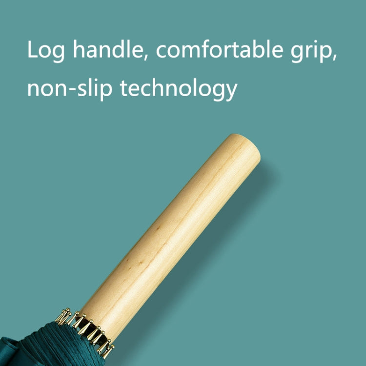 16 Bone Plain Straight Umbrella Small Fresh Long Handle Umbrella