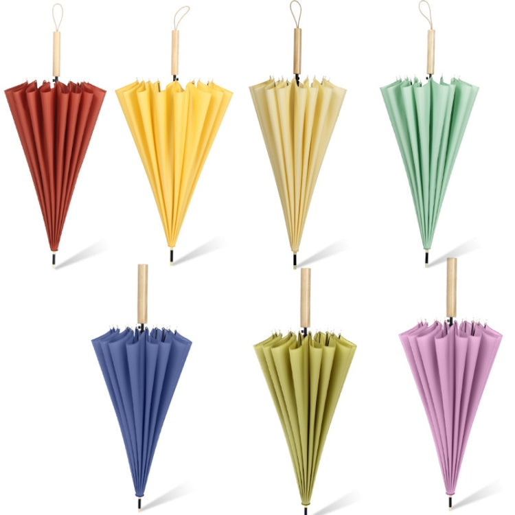 16 Bone Plain Straight Umbrella Small Fresh Long Handle Umbrella