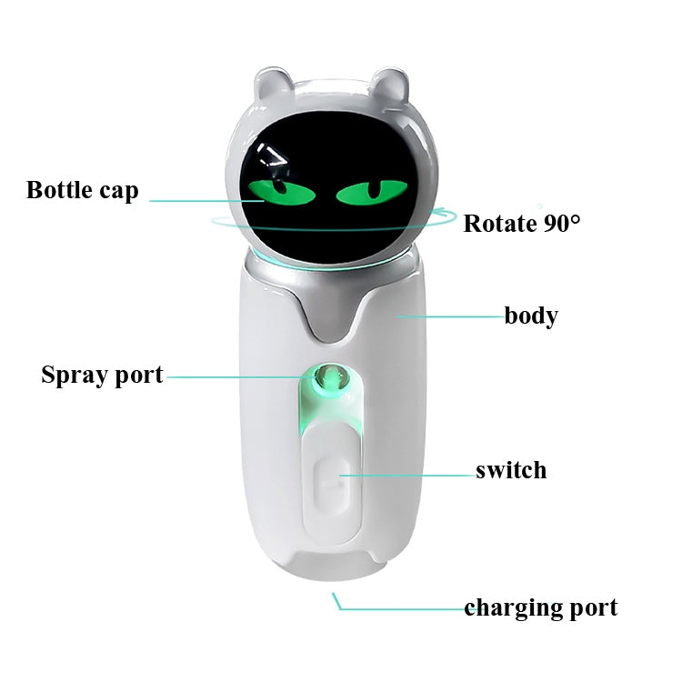 0728 Nano Spray Panda Moisturizer Steamed Face Moisturizer Handheld Facial Beauty Instrument Humidifier