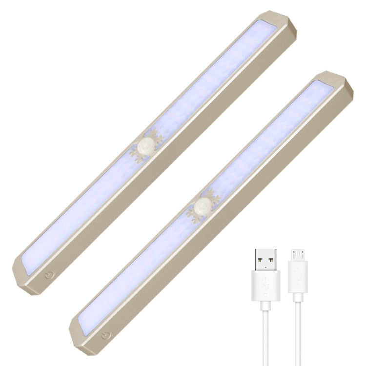 LED Intelligent Human Body Sensor Light USB Free Wiring Long Cabinet Wardrobe Light, Light color: Gold 2 x Lamp