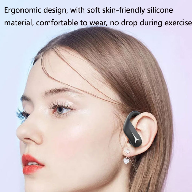 BE1030 Earhook LED Digital Display Sports TWS Wireless Bluetooth Earphone With Charging Box(Black)