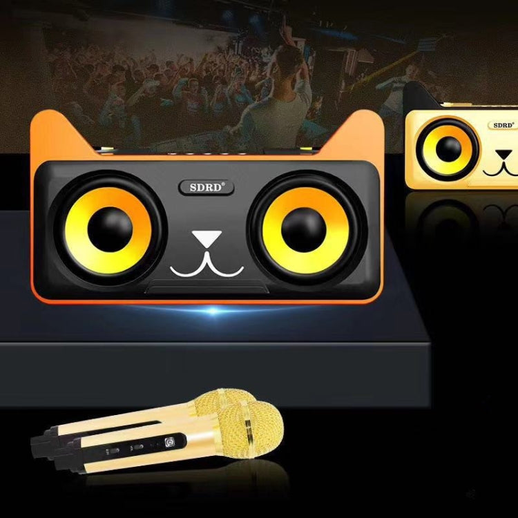 SDRD SD-305 2 in 1 Family KTV Portable Wireless Live Dual Microphone + Bluetooth Speaker