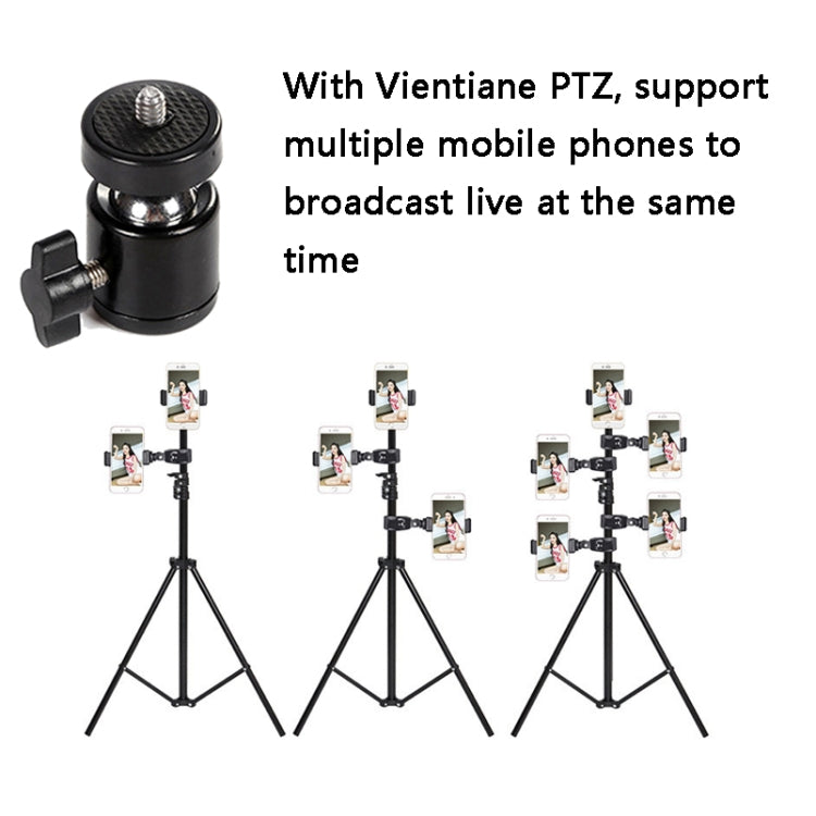 3 PCS Live Holder Conversion Interface For ZF0111, Style:Universal Punitai