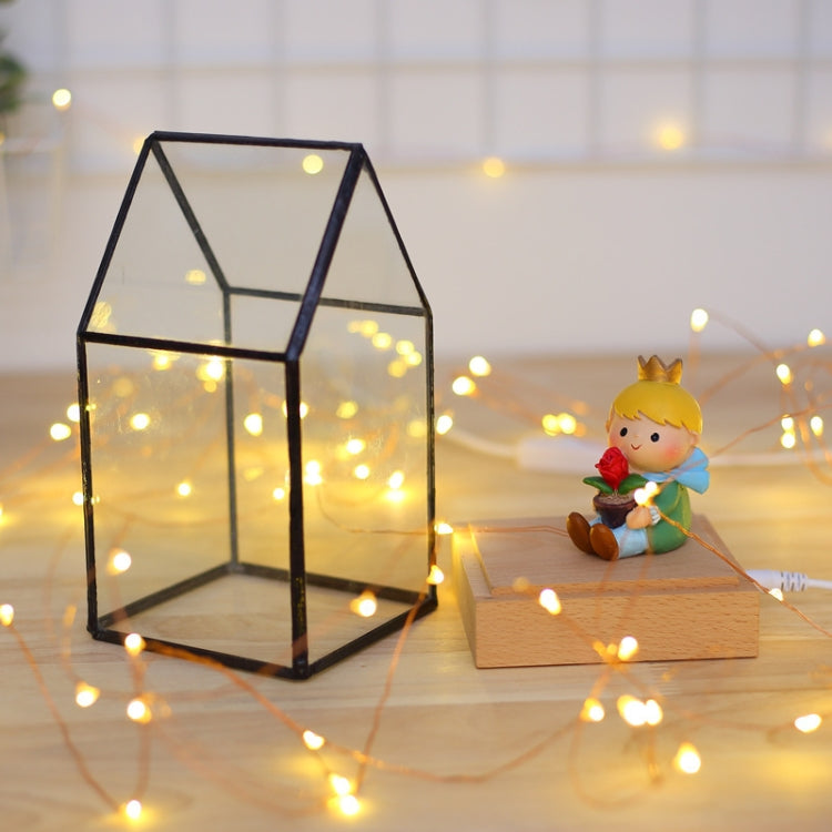 Fireworks Glass Lampshade Wooden Base 100 LEDs Night Light Birthday Christmas Gift, Spec: Dimming Switch(Firefly House)