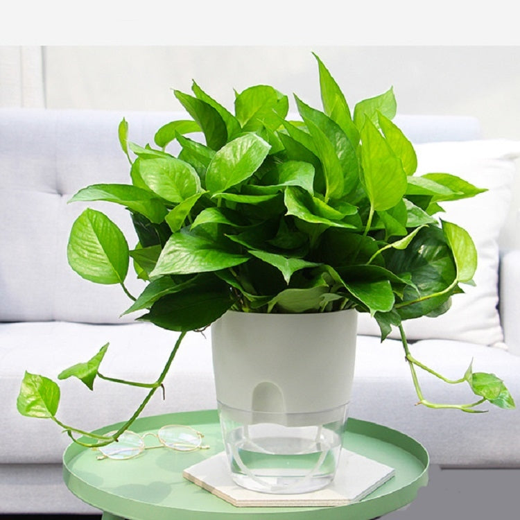 5 PCS Transparent Plastic Double-Layer Water Storage Automatic Water-Absorbing Flowerpot, Size: A707 Caliber 15.3cm