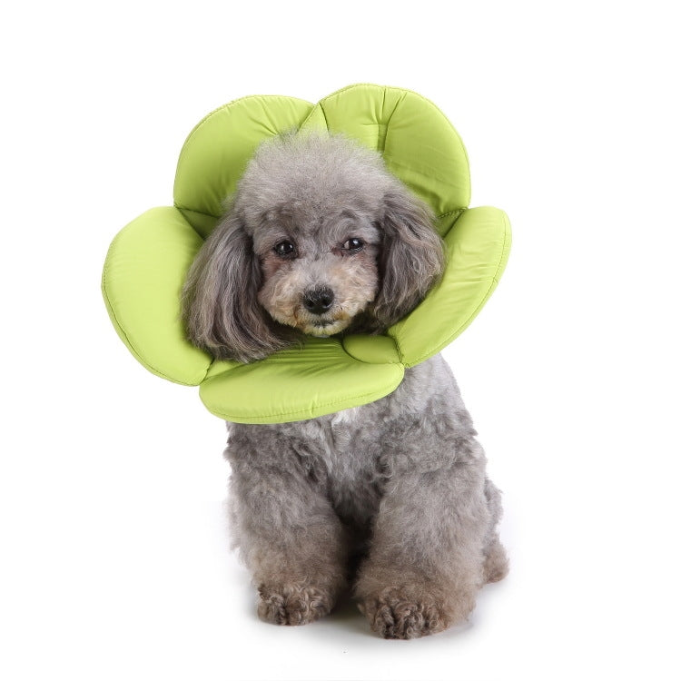 Pet Protection Collar Dog Flower Protection Collar, Specification: M