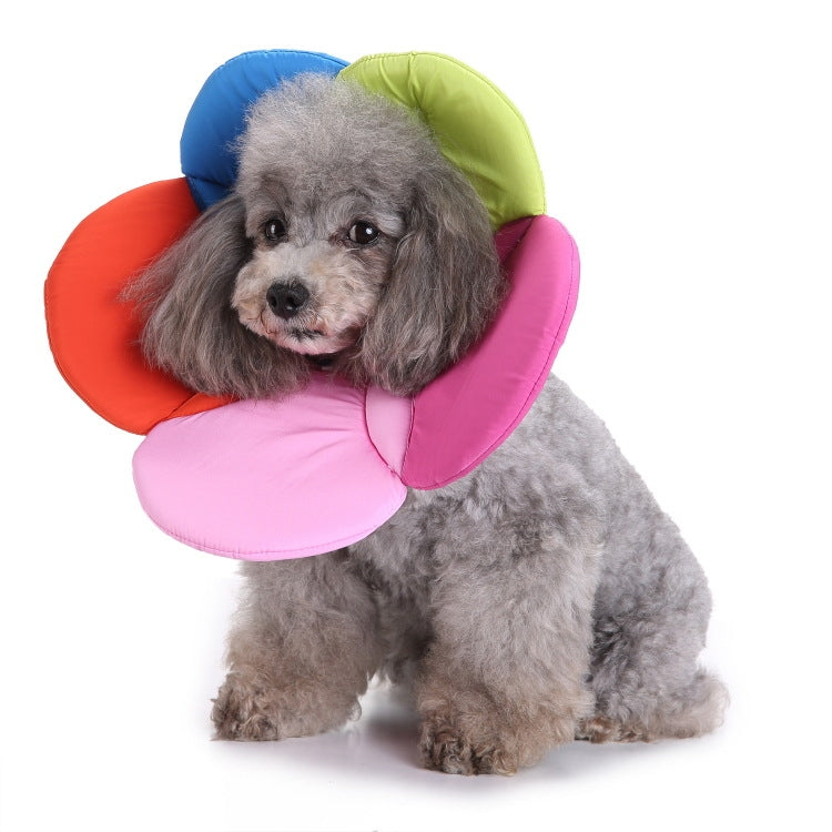 Pet Protection Collar Dog Flower Protection Collar, Specification: M