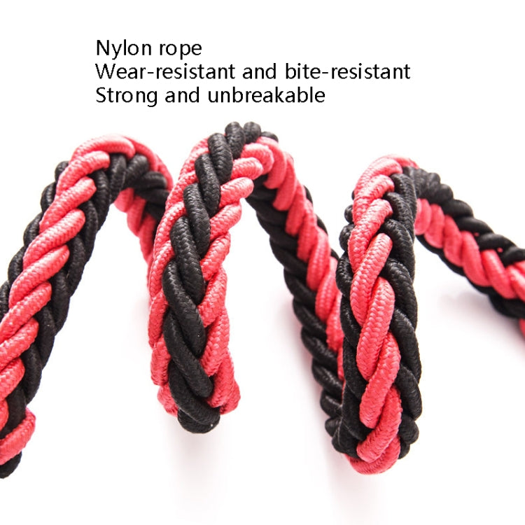 Dog Leash Braided Belt Pet Explosion-Proof Leash, Size: L