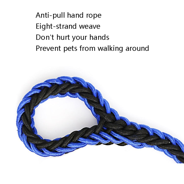 Dog Leash Braided Belt Pet Explosion-Proof Leash, Size: L