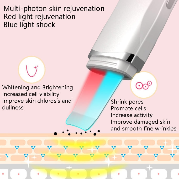 C-106 Ultrasonic Shovel Skin Machine Blackhead Dead Skin Cleaning Instrument Deep Cleaning Pore Ion Importer, Specification: LED Light Display(Beige)