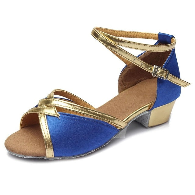 Tango Salsa Latin Low Heel Soft Bottom Dance Shoes for Girls & Women, Shoe Size:30
