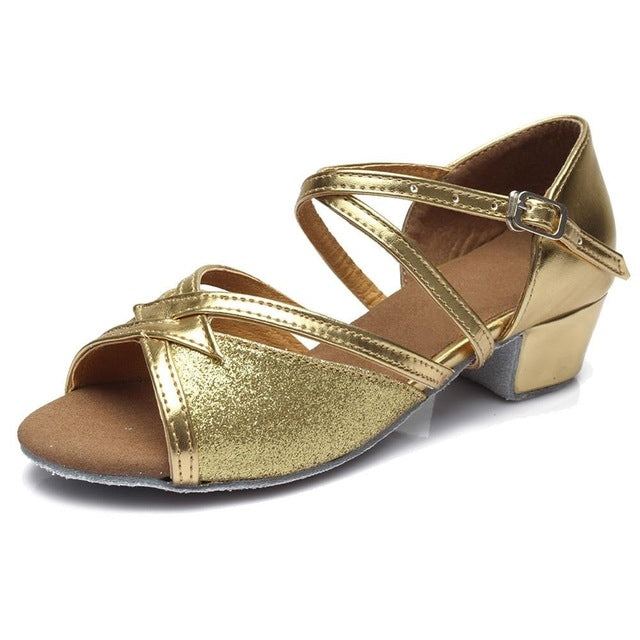 Tango Salsa Latin Low Heel Soft Bottom Dance Shoes for Girls & Women, Shoe Size:35