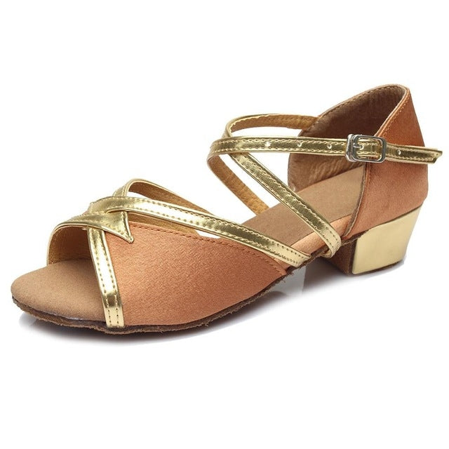 Tango Salsa Latin Low Heel Soft Bottom Dance Shoes for Girls & Women, Shoe Size:39