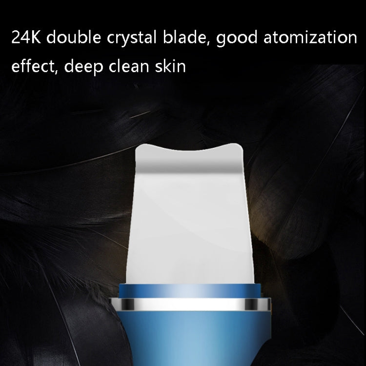FY-400G USB Ultrasonic Peeling Machine Electric Beauty Ion Importer(Colorful)