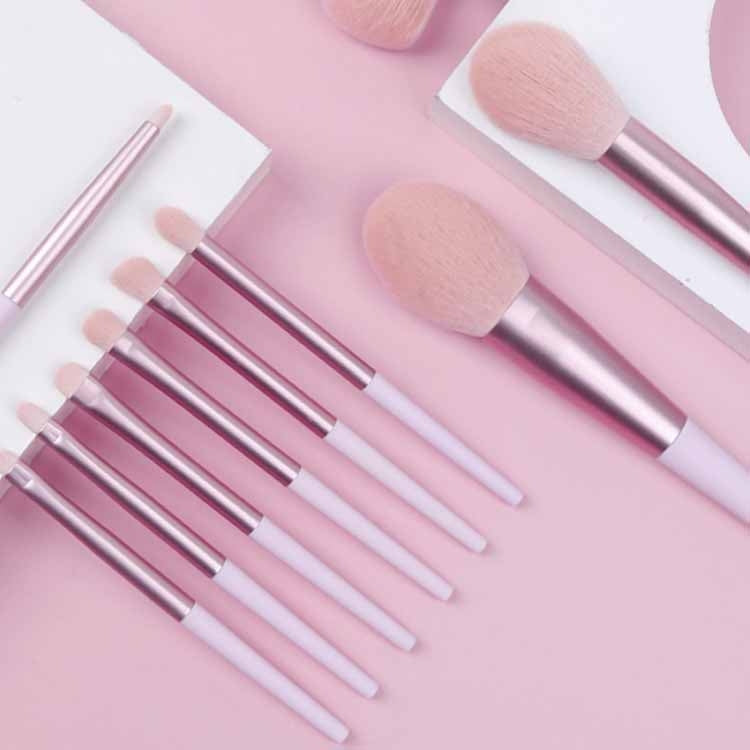 11-In-1 Beauty Tool Makeup Brush Set Beginner Beauty Brush