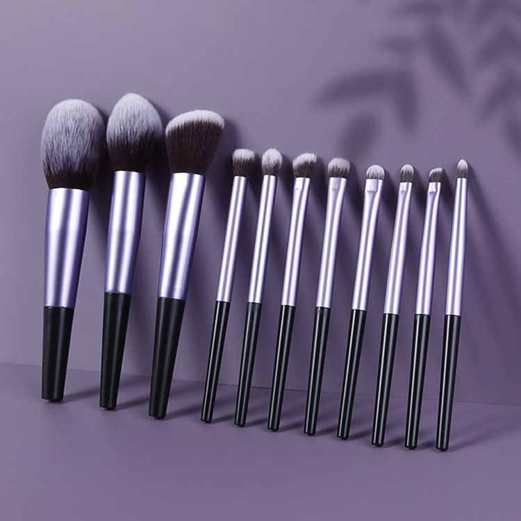 11-In-1 Beauty Tool Makeup Brush Set Beginner Beauty Brush