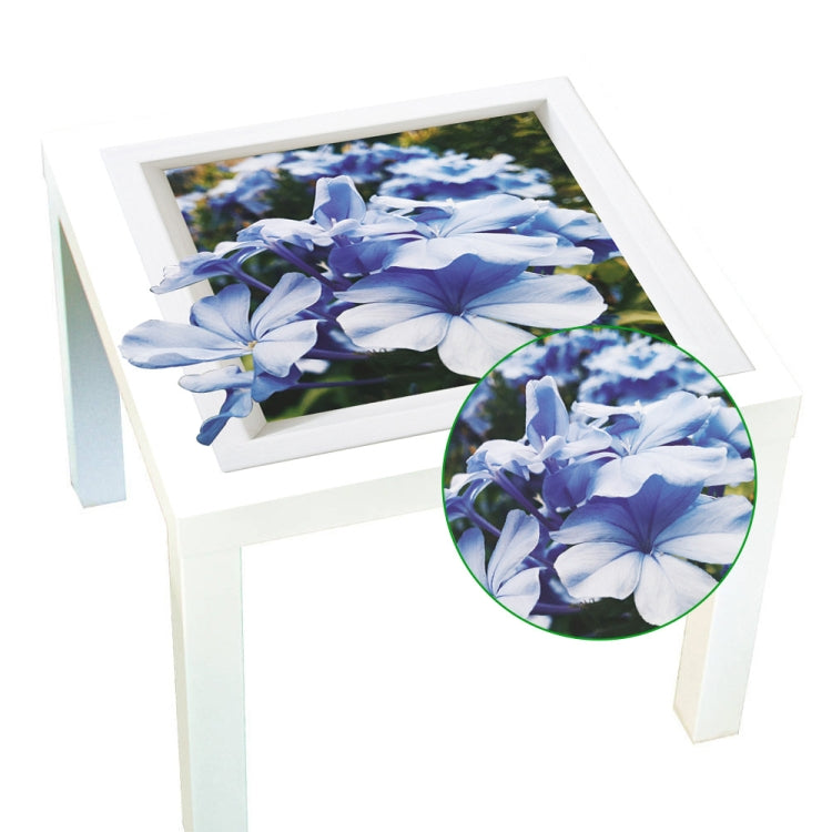 Restaurant Tabletop Oil-Proof Waterproof Non-Slip PVC Heat Insulation Sticker Placemat, Specification: 55x55cm