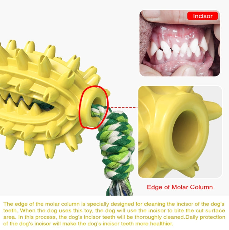 With Cotton Rope + No Cotton Rope Set Dog Toy With Rope Prickly Pear Molar Stick Dog Toothbrush